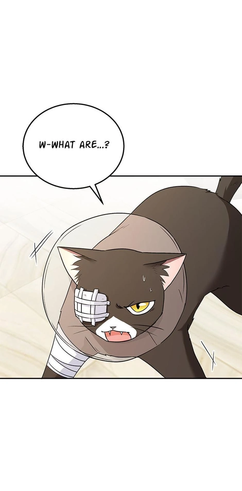 Hello, Mr. Veterinarian! Chapter 27 page 71 - 