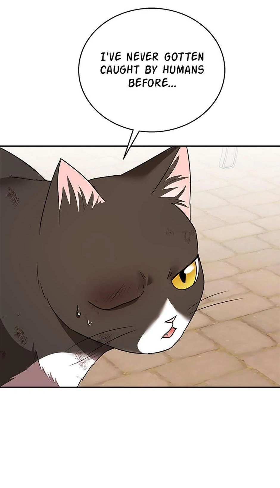 Hello, Mr. Veterinarian! Chapter 27 page 9 - 