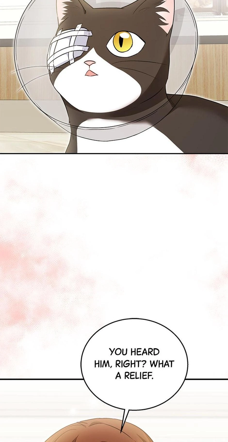 Hello, Mr. Veterinarian! Chapter 28 page 14 - 