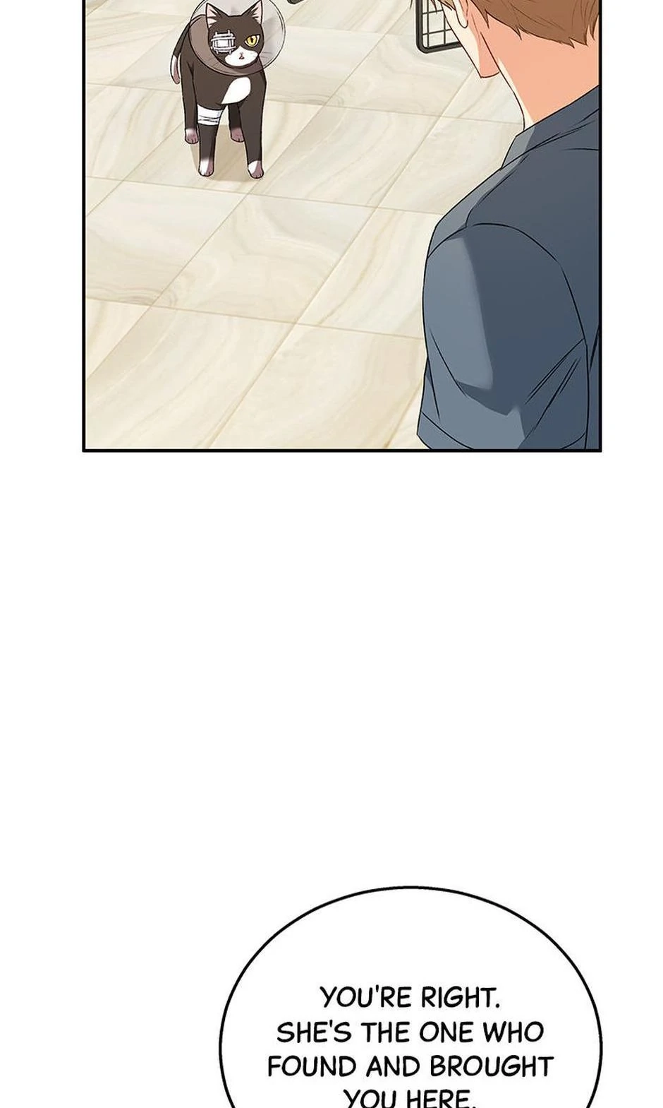 Hello, Mr. Veterinarian! Chapter 28 page 18 - 