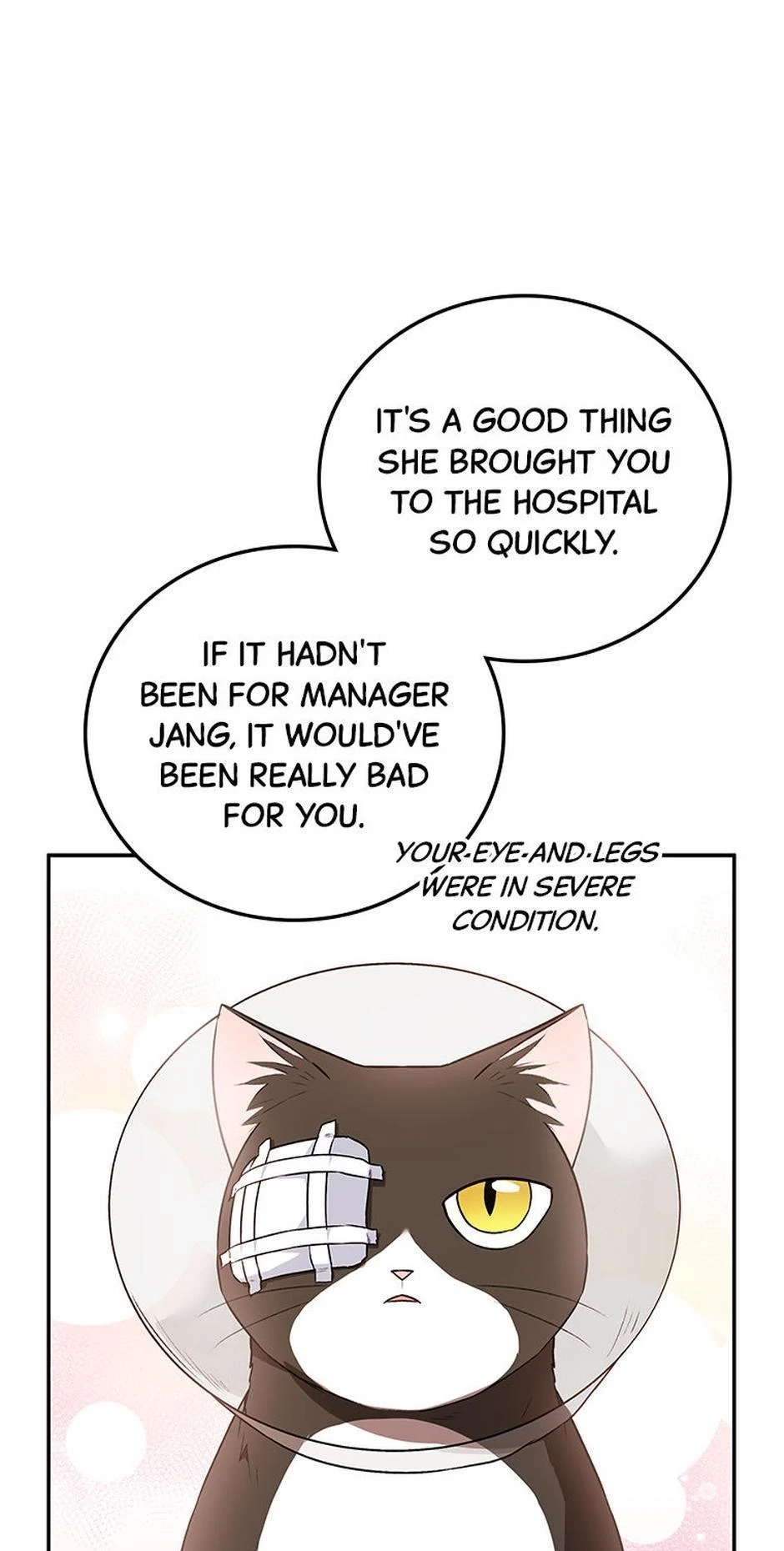 Hello, Mr. Veterinarian! Chapter 28 page 20 - 
