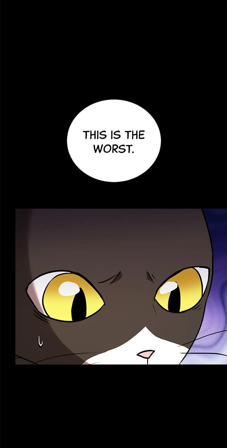 Hello, Mr. Veterinarian! Chapter 28 page 26 - 