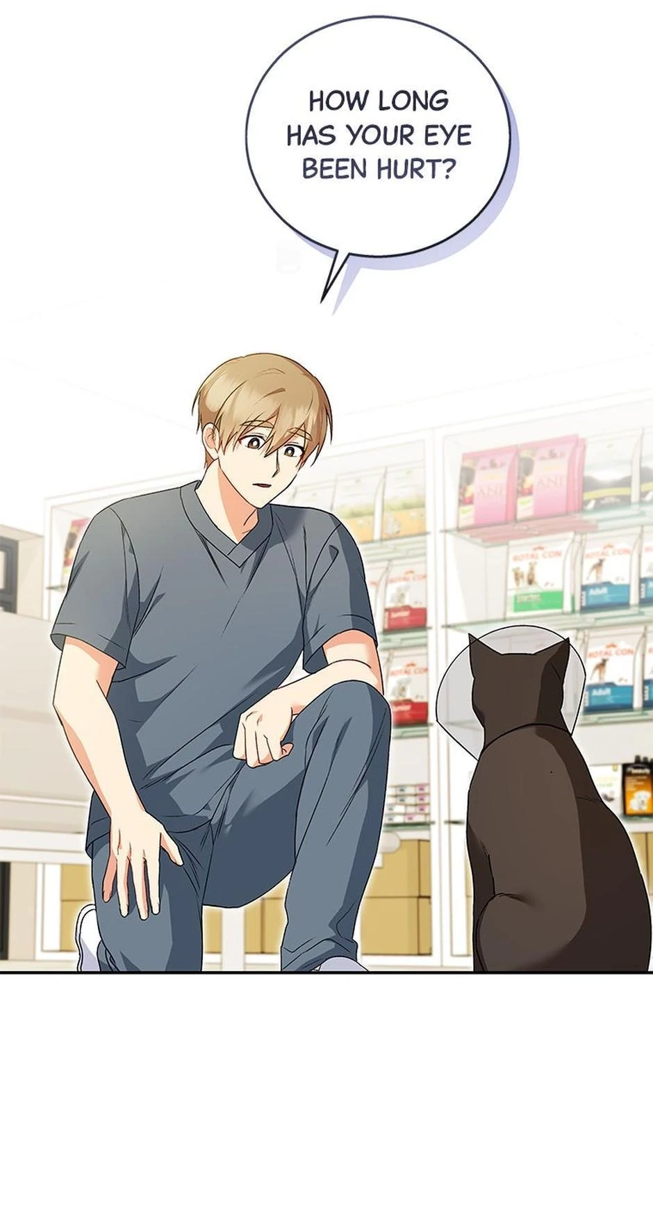 Hello, Mr. Veterinarian! Chapter 28 page 35 - 