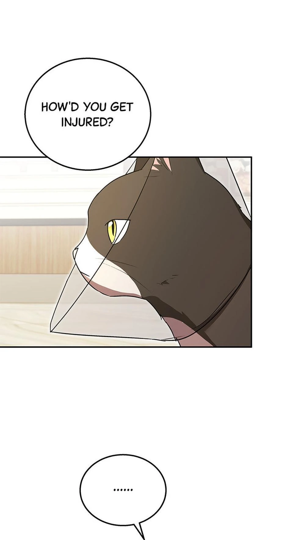 Hello, Mr. Veterinarian! Chapter 28 page 36 - 