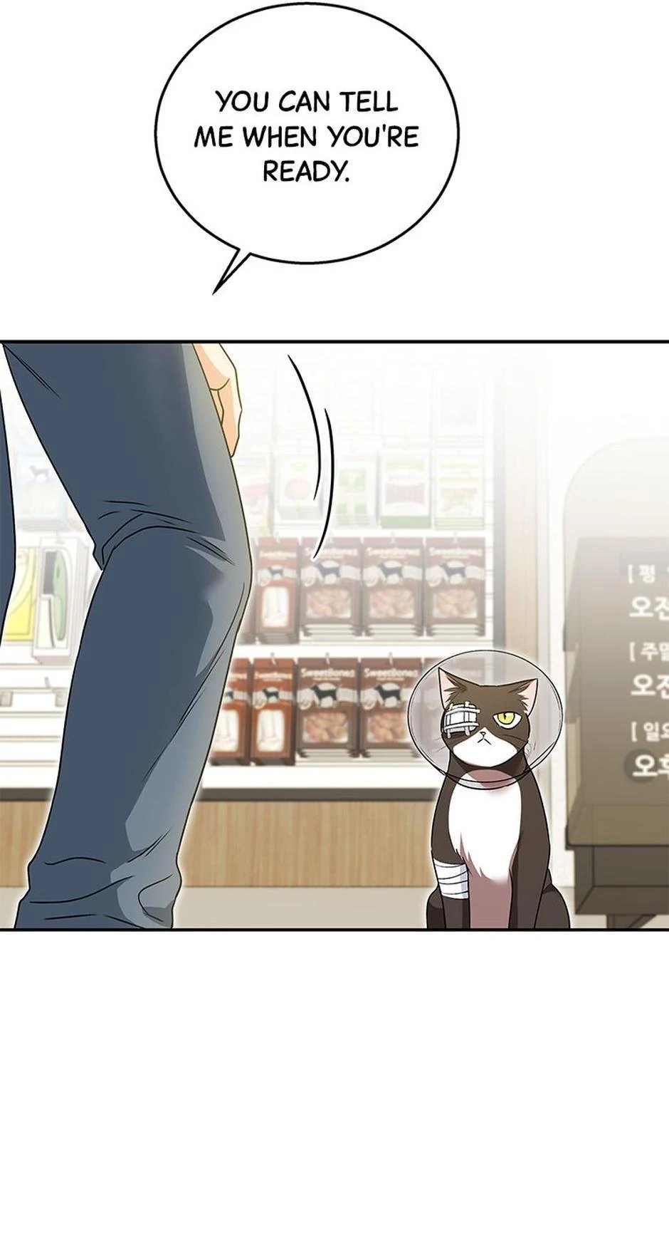 Hello, Mr. Veterinarian! Chapter 28 page 39 - 