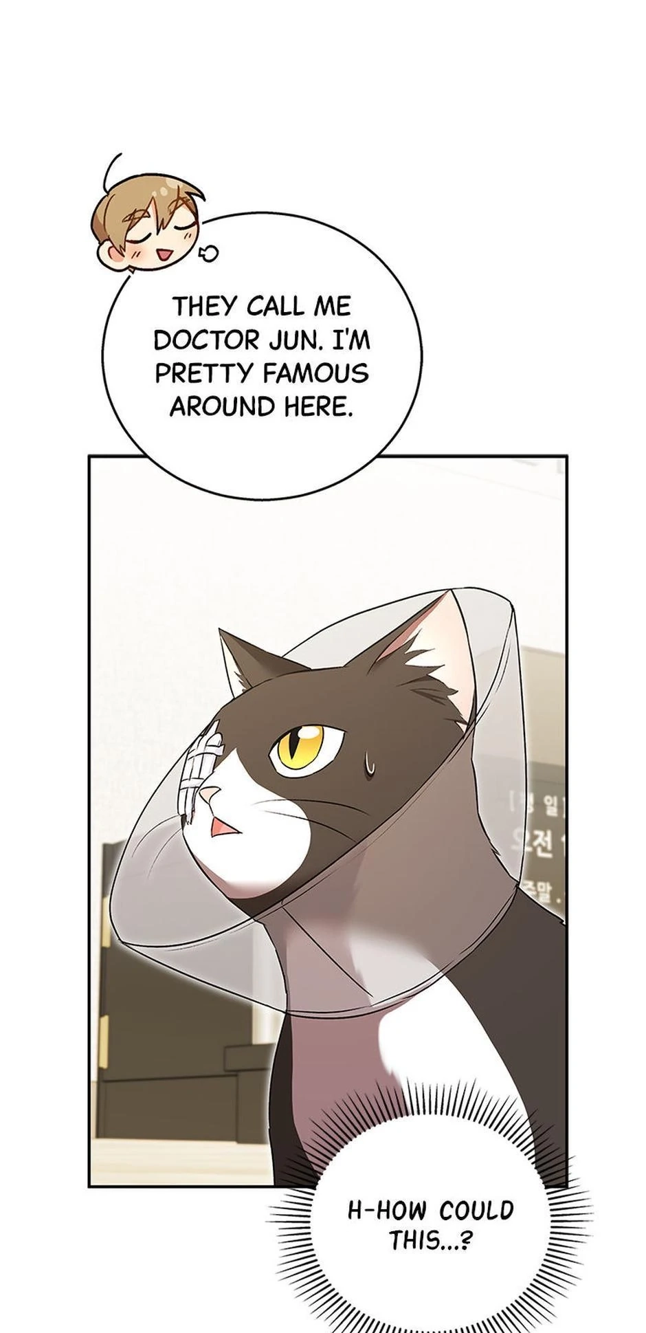 Hello, Mr. Veterinarian! Chapter 28 page 6 - 