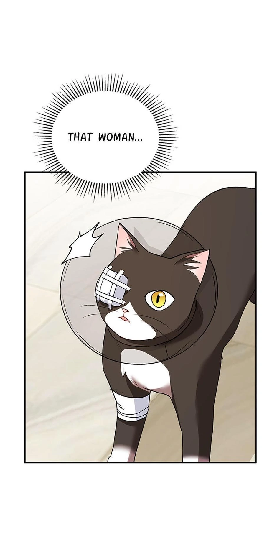 Hello, Mr. Veterinarian! Chapter 28 page 10 - 