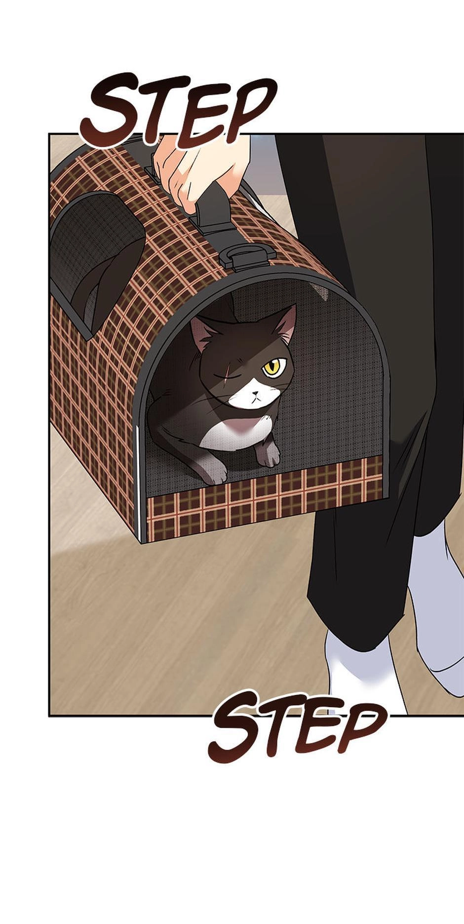 Hello, Mr. Veterinarian! Chapter 30 page 21 - 