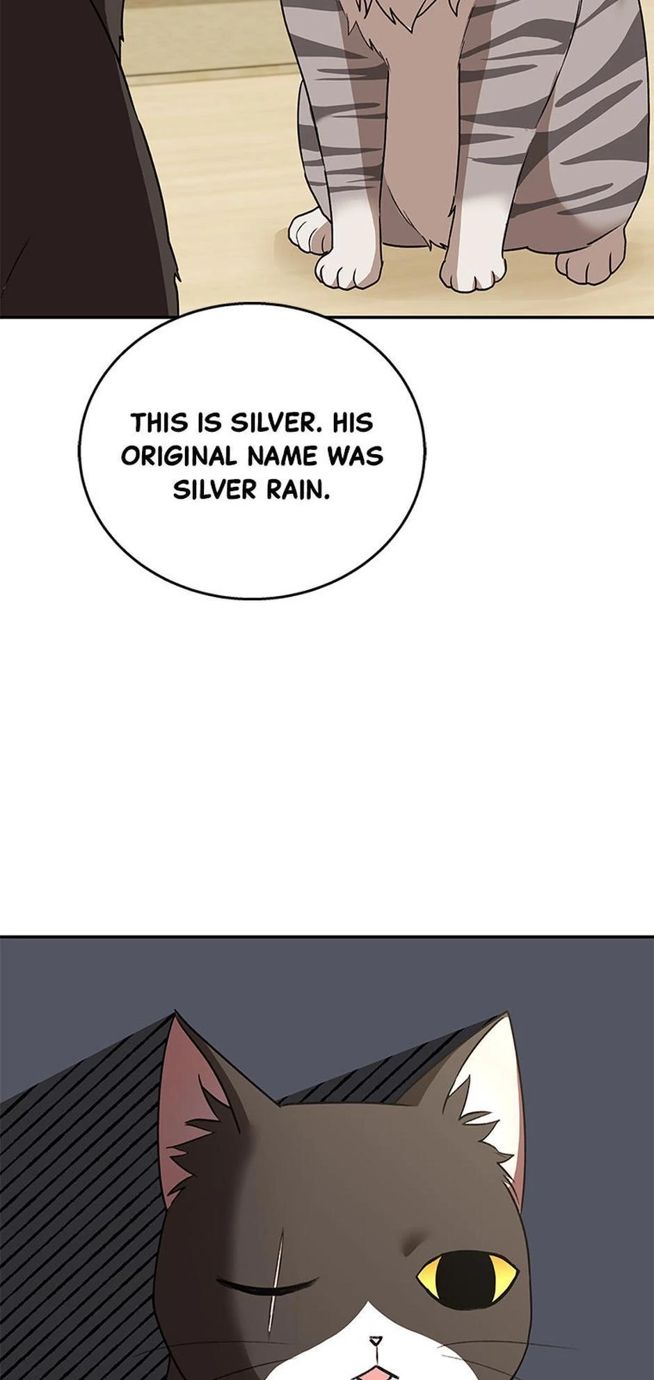 Hello, Mr. Veterinarian! Chapter 30 page 33 - 
