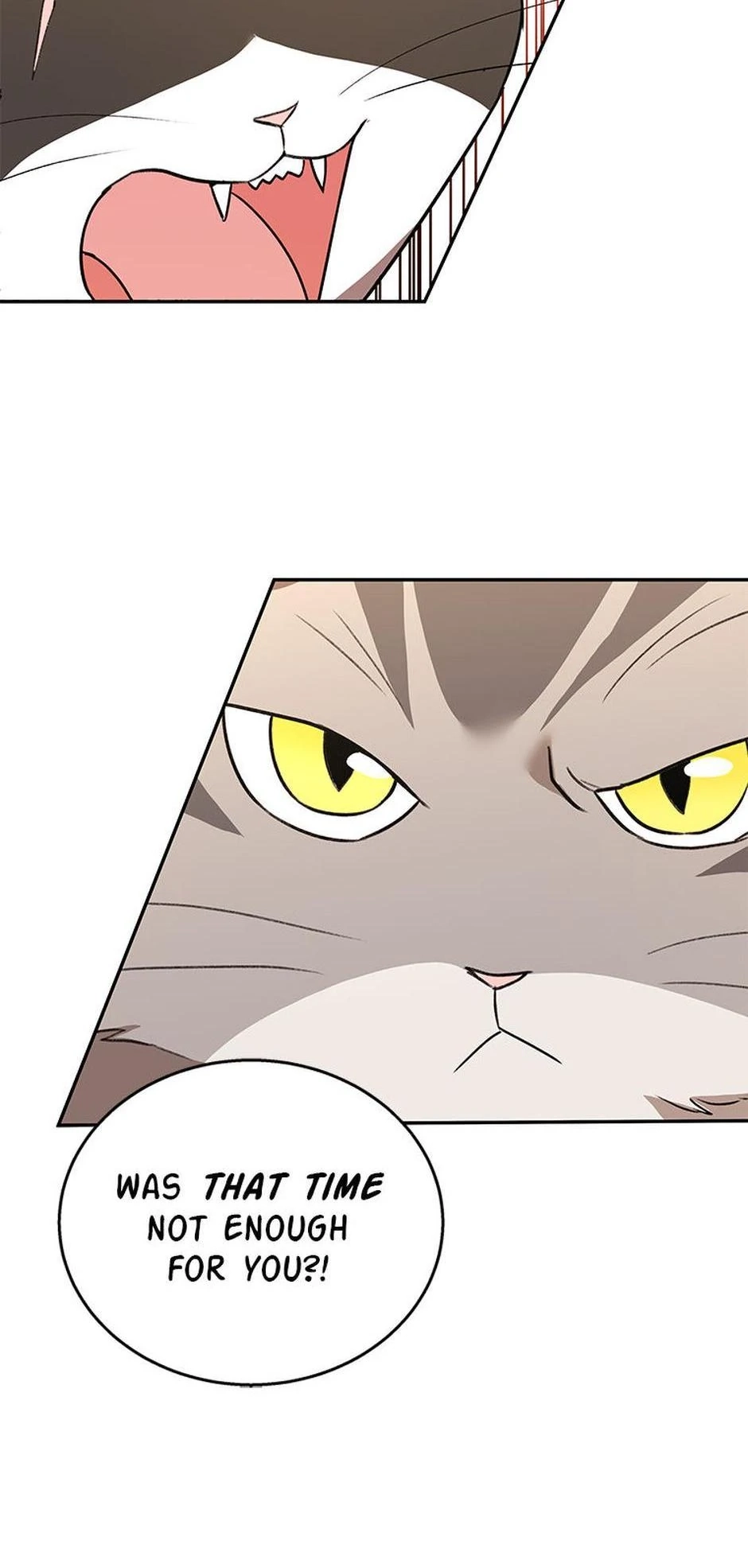 Hello, Mr. Veterinarian! Chapter 30 page 47 - 