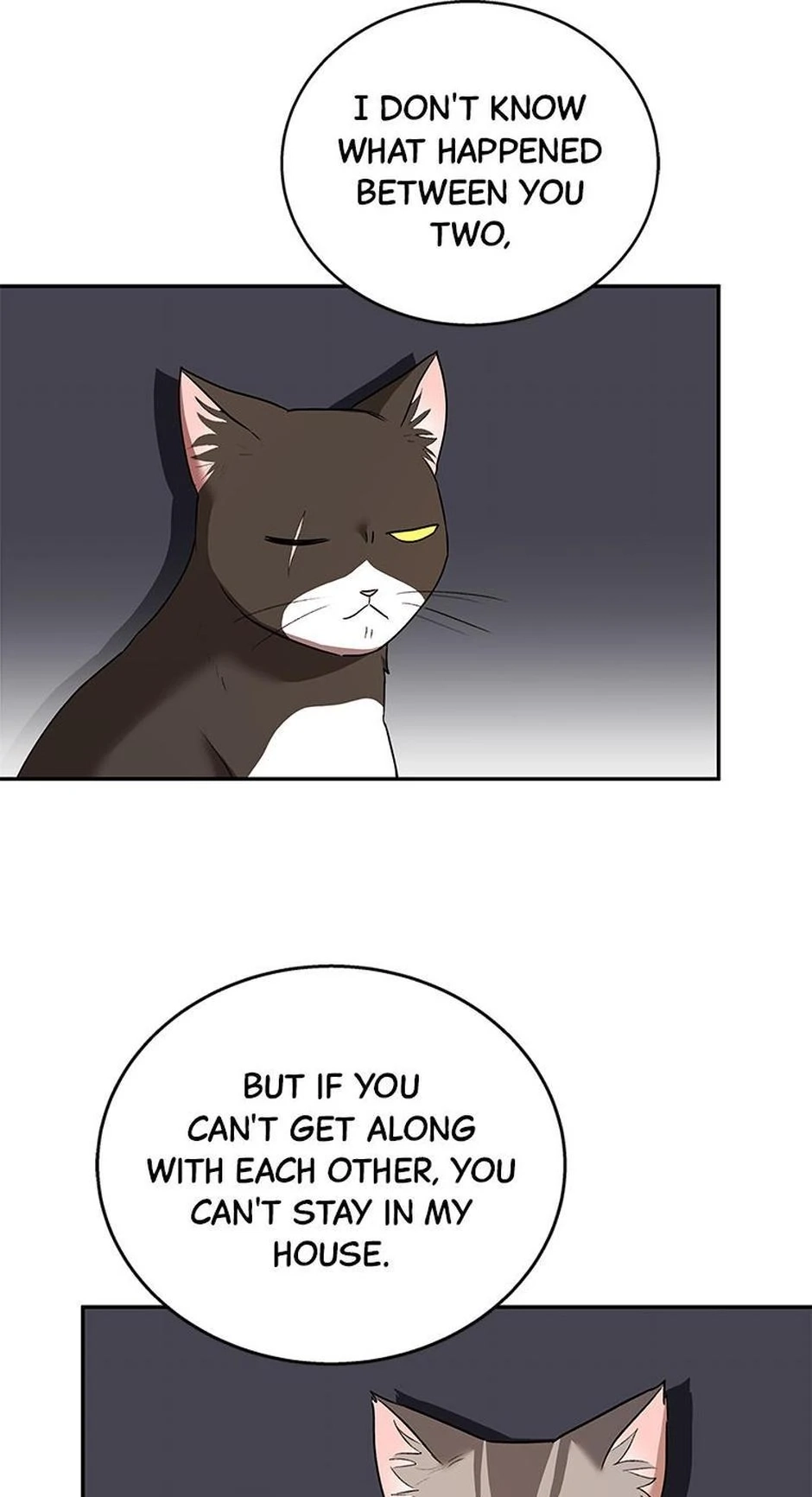 Hello, Mr. Veterinarian! Chapter 30 page 50 - 