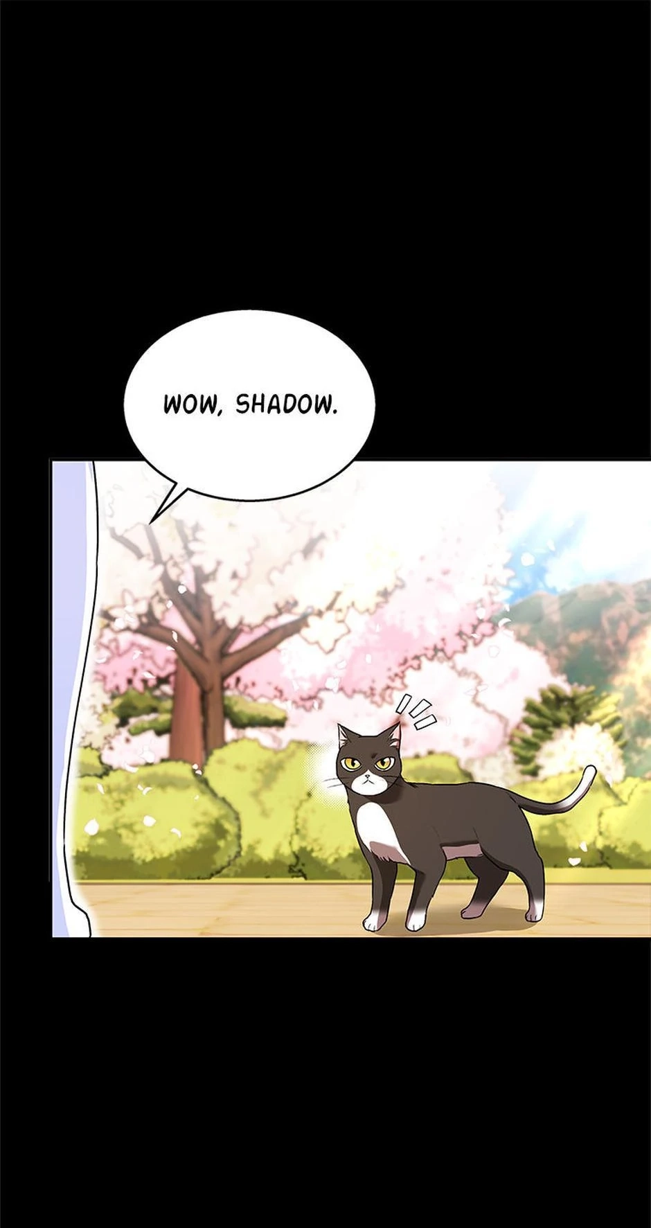 Hello, Mr. Veterinarian! Chapter 30 page 62 - 