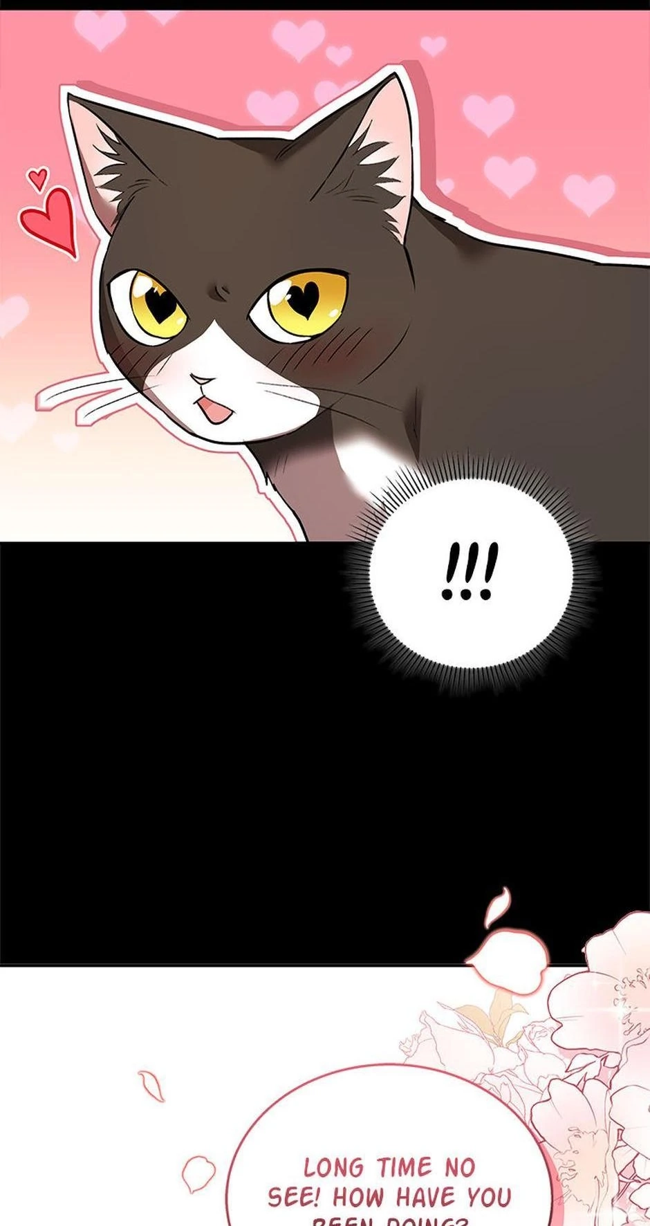 Hello, Mr. Veterinarian! Chapter 30 page 63 - 