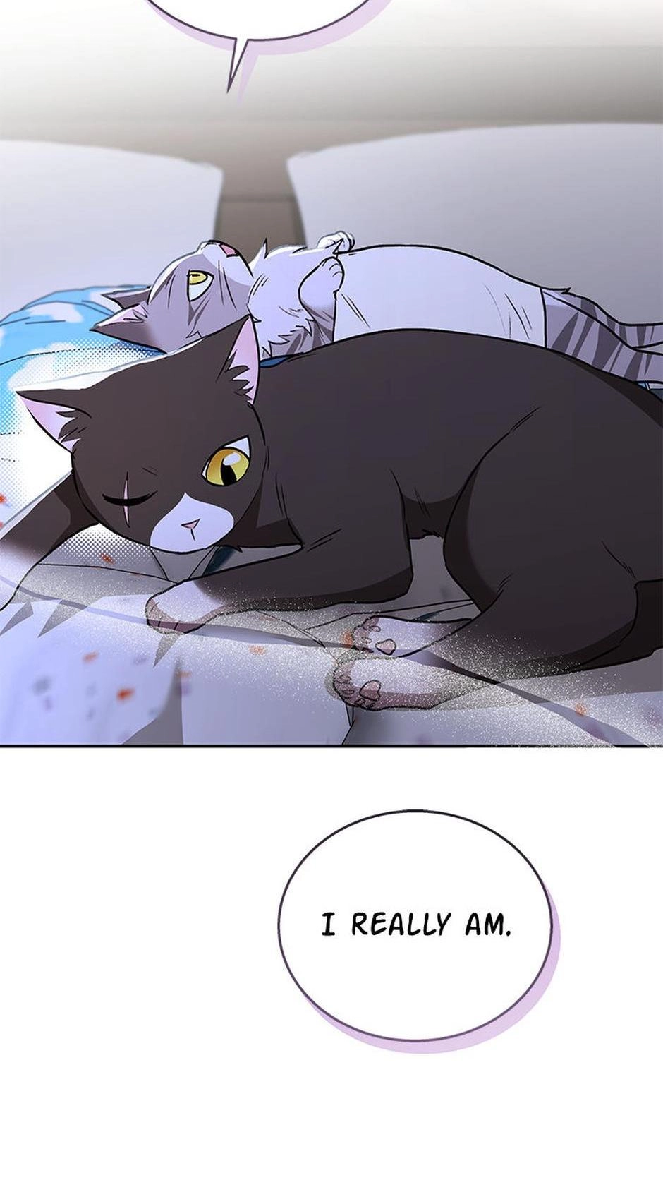 Hello, Mr. Veterinarian! Chapter 30 page 97 - 
