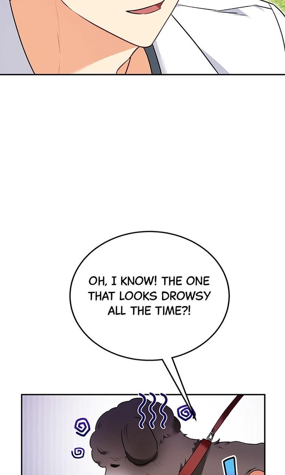 Hello, Mr. Veterinarian! Chapter 31 page 45 - 
