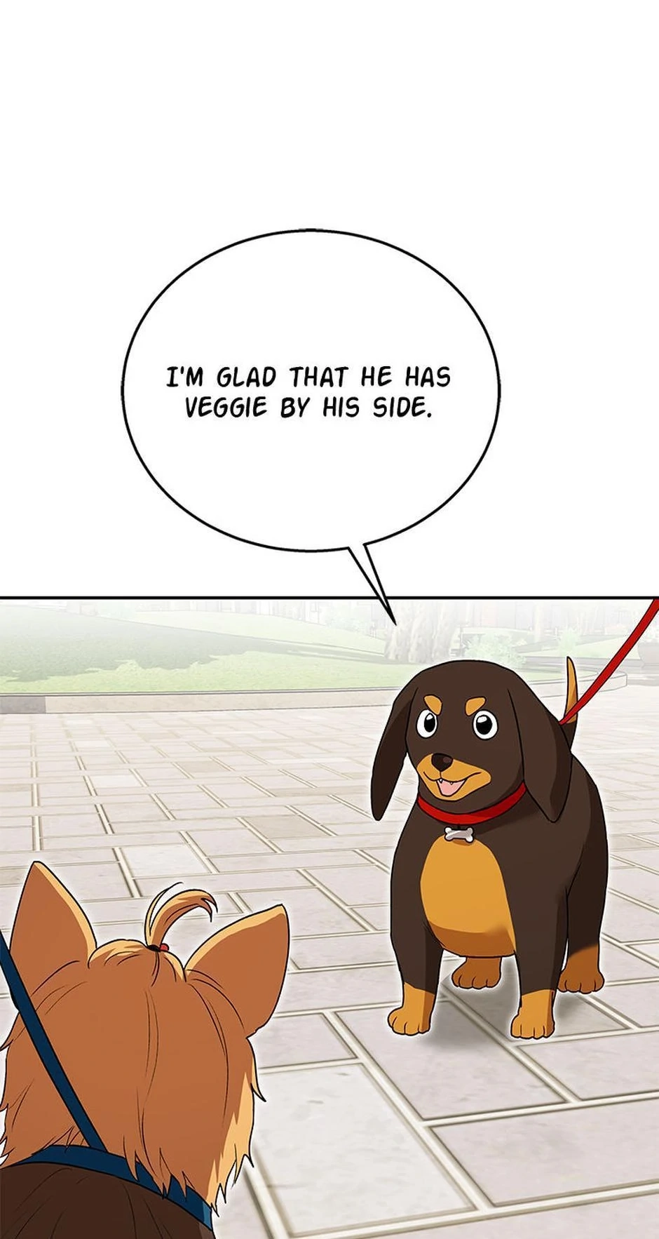 Hello, Mr. Veterinarian! Chapter 32 page 14 - 