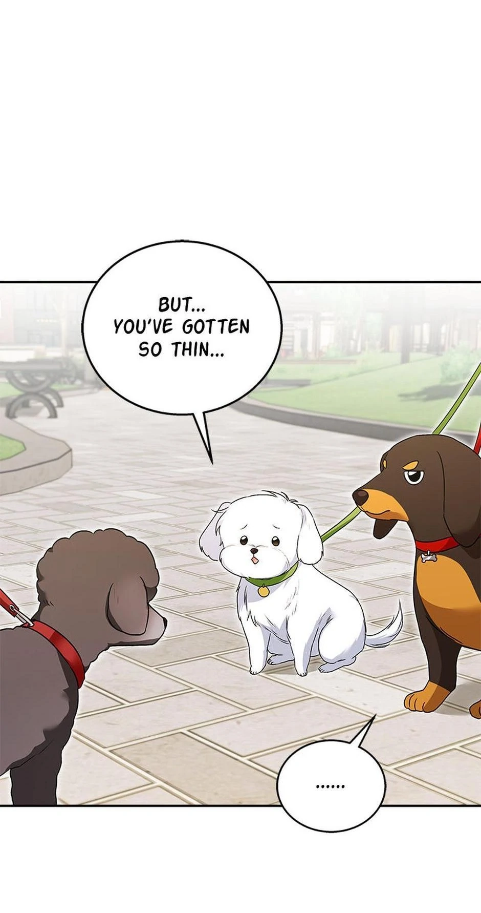 Hello, Mr. Veterinarian! Chapter 32 page 31 - 