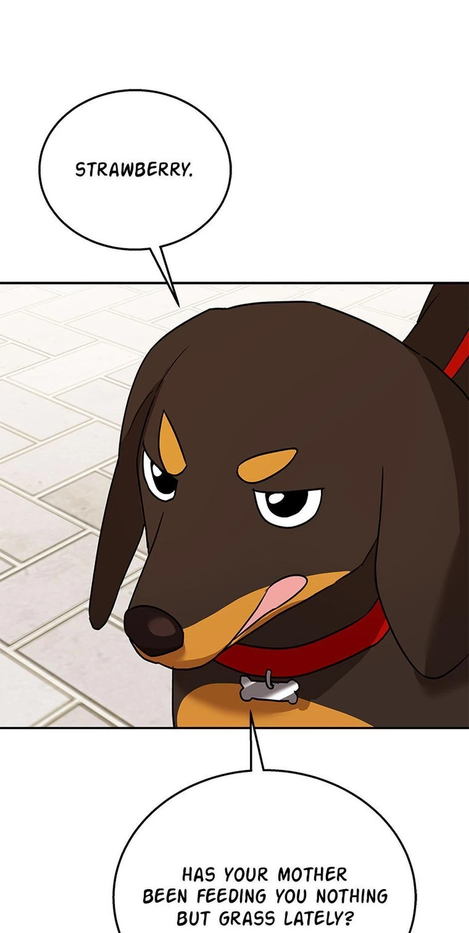 Hello, Mr. Veterinarian! Chapter 32 page 32 - 