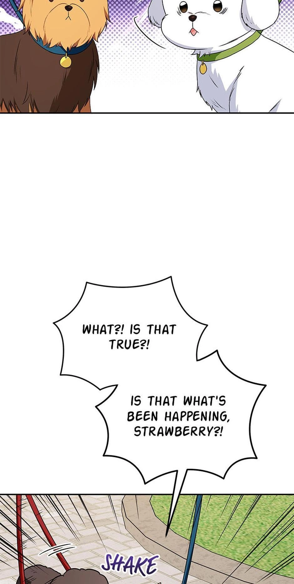 Hello, Mr. Veterinarian! Chapter 32 page 34 - 