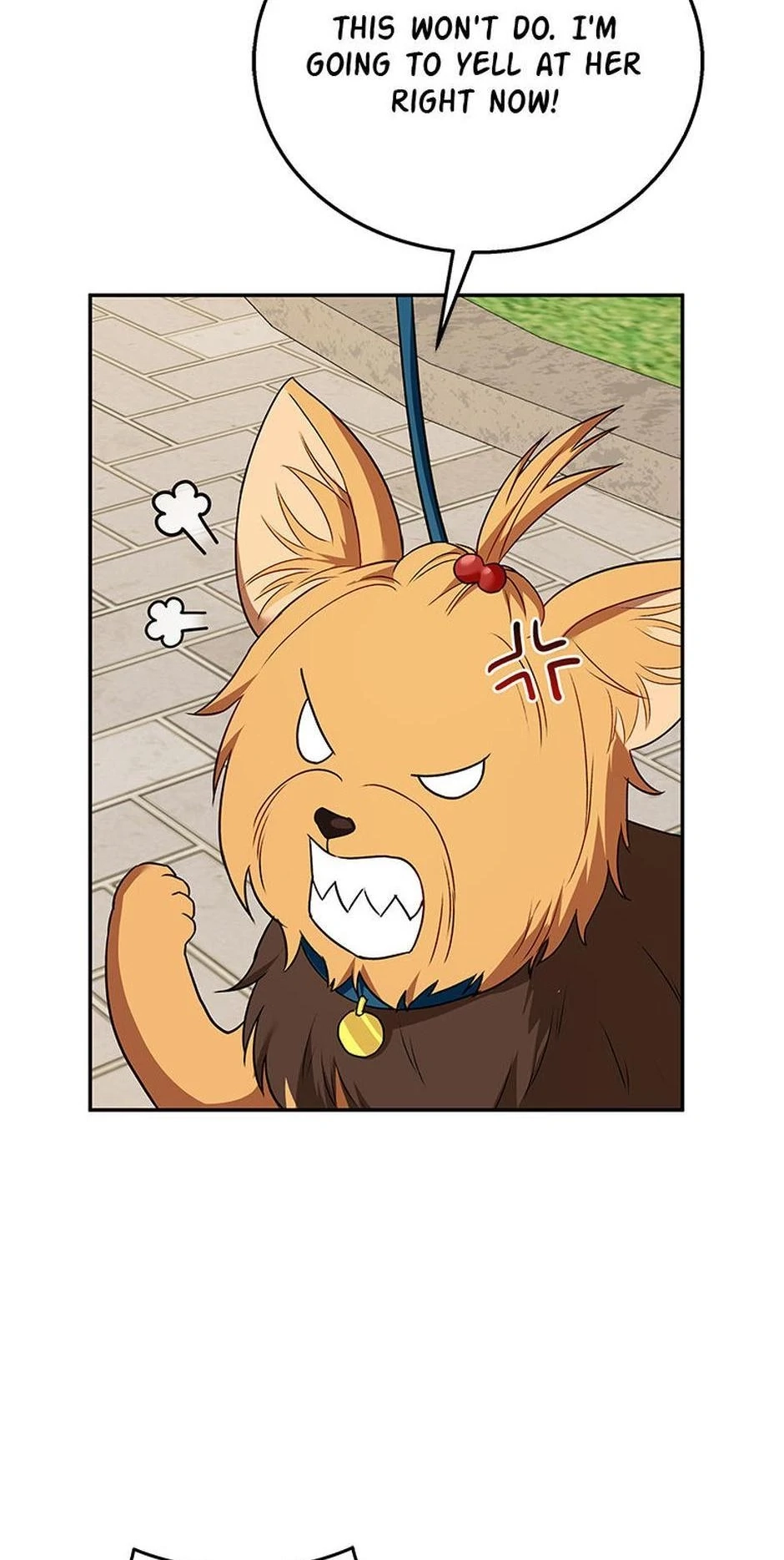 Hello, Mr. Veterinarian! Chapter 32 page 36 - 