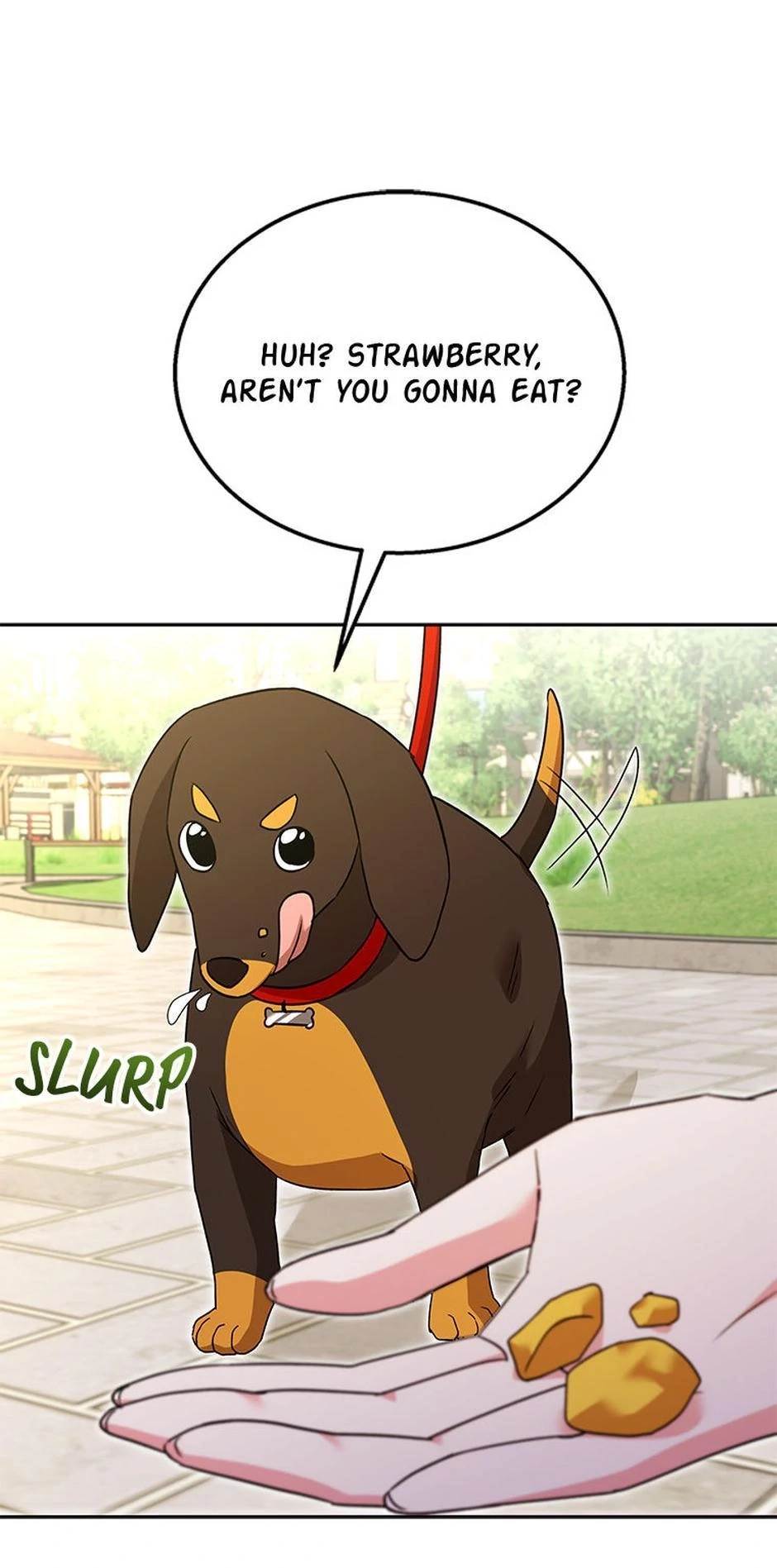 Hello, Mr. Veterinarian! Chapter 32 page 56 - 
