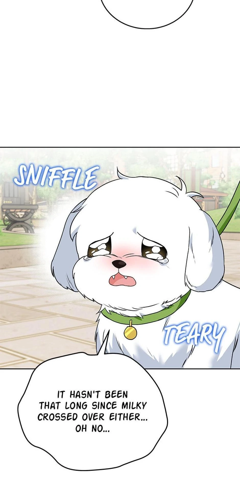 Hello, Mr. Veterinarian! Chapter 32 page 62 - 