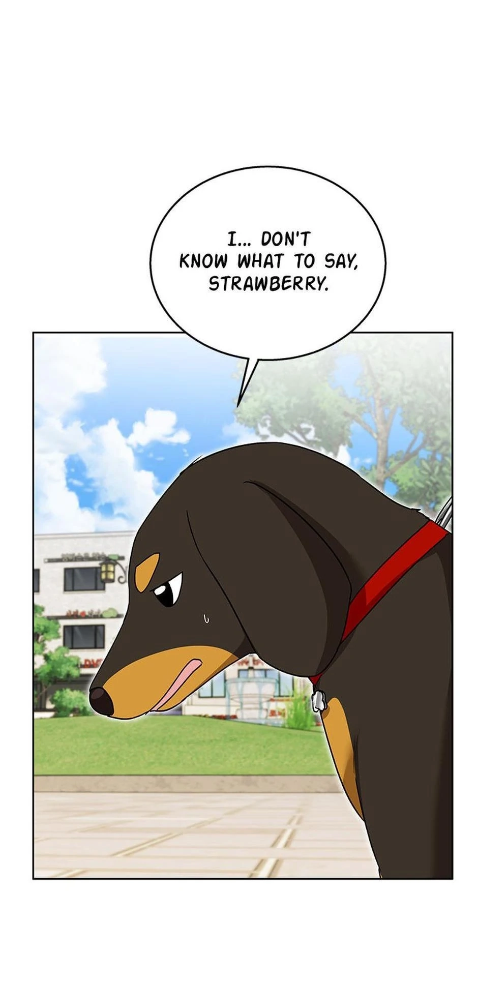 Hello, Mr. Veterinarian! Chapter 32 page 63 - 