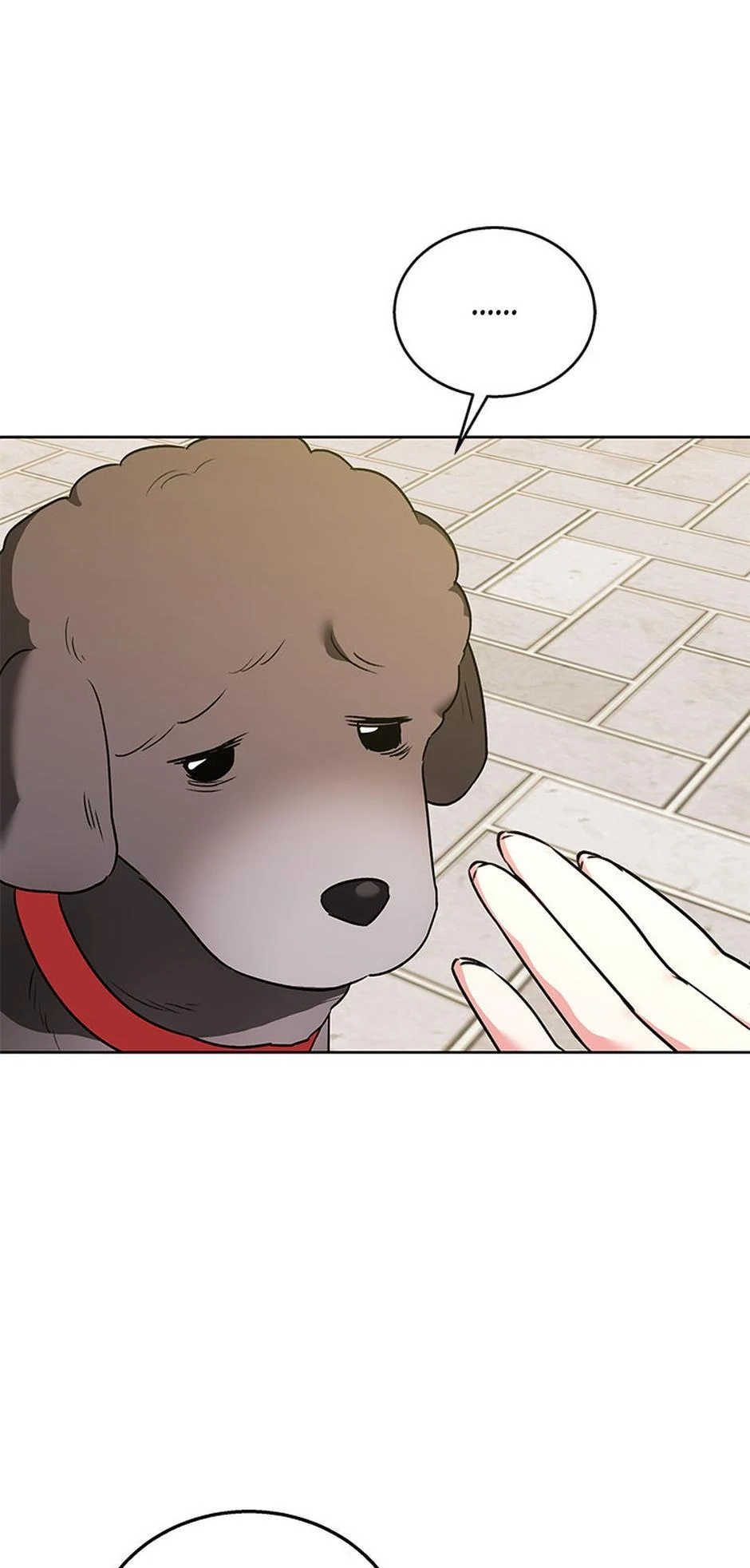 Hello, Mr. Veterinarian! Chapter 32 page 68 - 