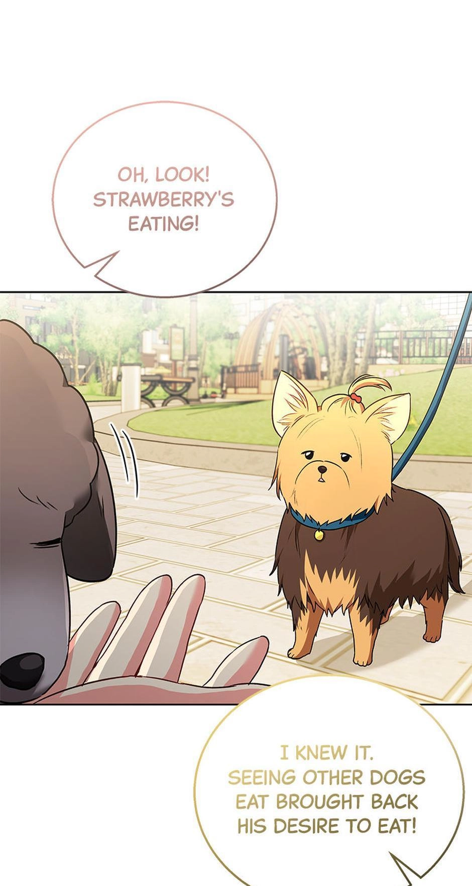 Hello, Mr. Veterinarian! Chapter 32 page 72 - 