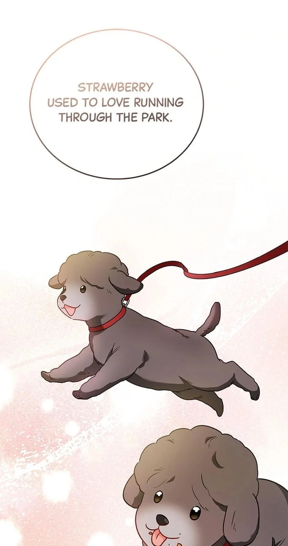 Hello, Mr. Veterinarian! Chapter 33 page 10 - 
