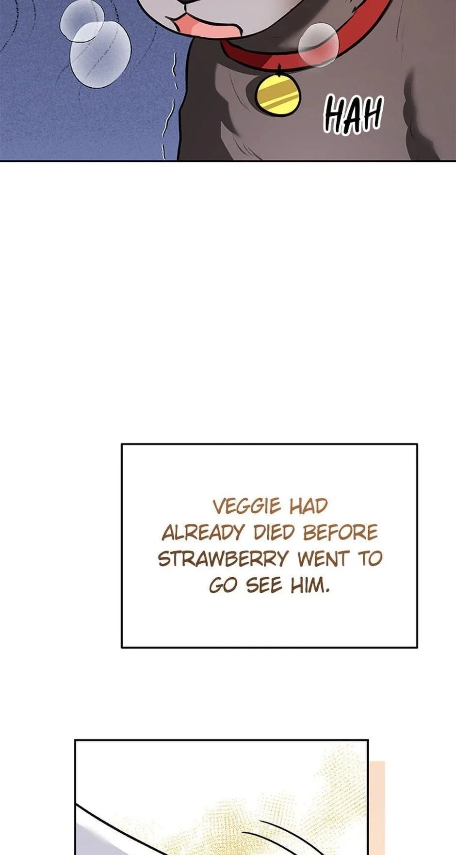 Hello, Mr. Veterinarian! Chapter 34 page 34 - 