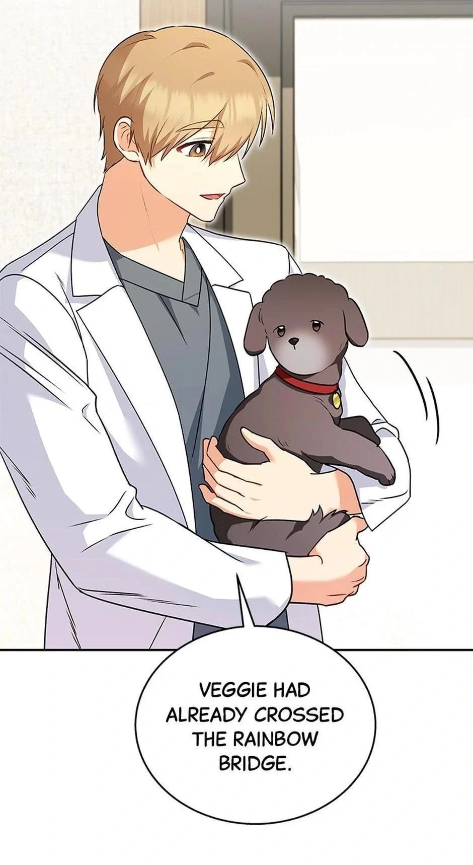 Hello, Mr. Veterinarian! Chapter 34 page 40 - 