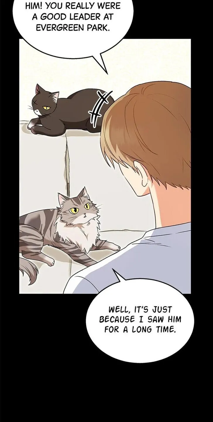 Hello, Mr. Veterinarian! Chapter 35 page 2 - 