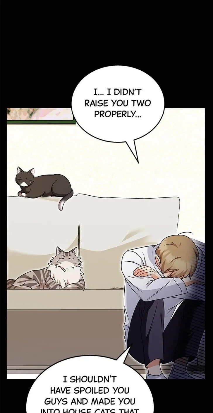 Hello, Mr. Veterinarian! Chapter 35 page 11 - 
