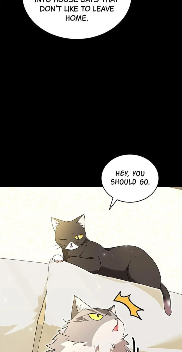 Hello, Mr. Veterinarian! Chapter 35 page 12 - 