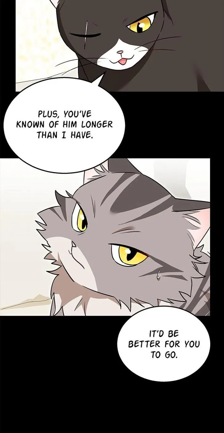 Hello, Mr. Veterinarian! Chapter 35 page 14 - 