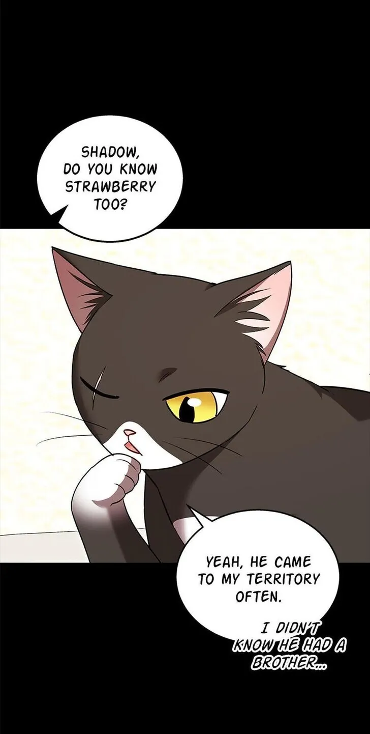 Hello, Mr. Veterinarian! Chapter 35 page 3 - 
