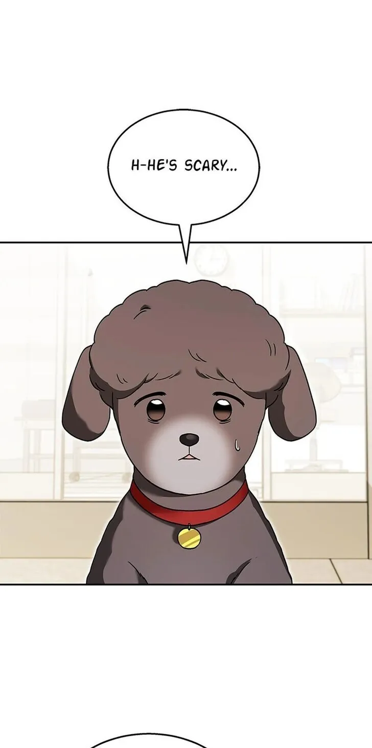 Hello, Mr. Veterinarian! Chapter 35 page 23 - 
