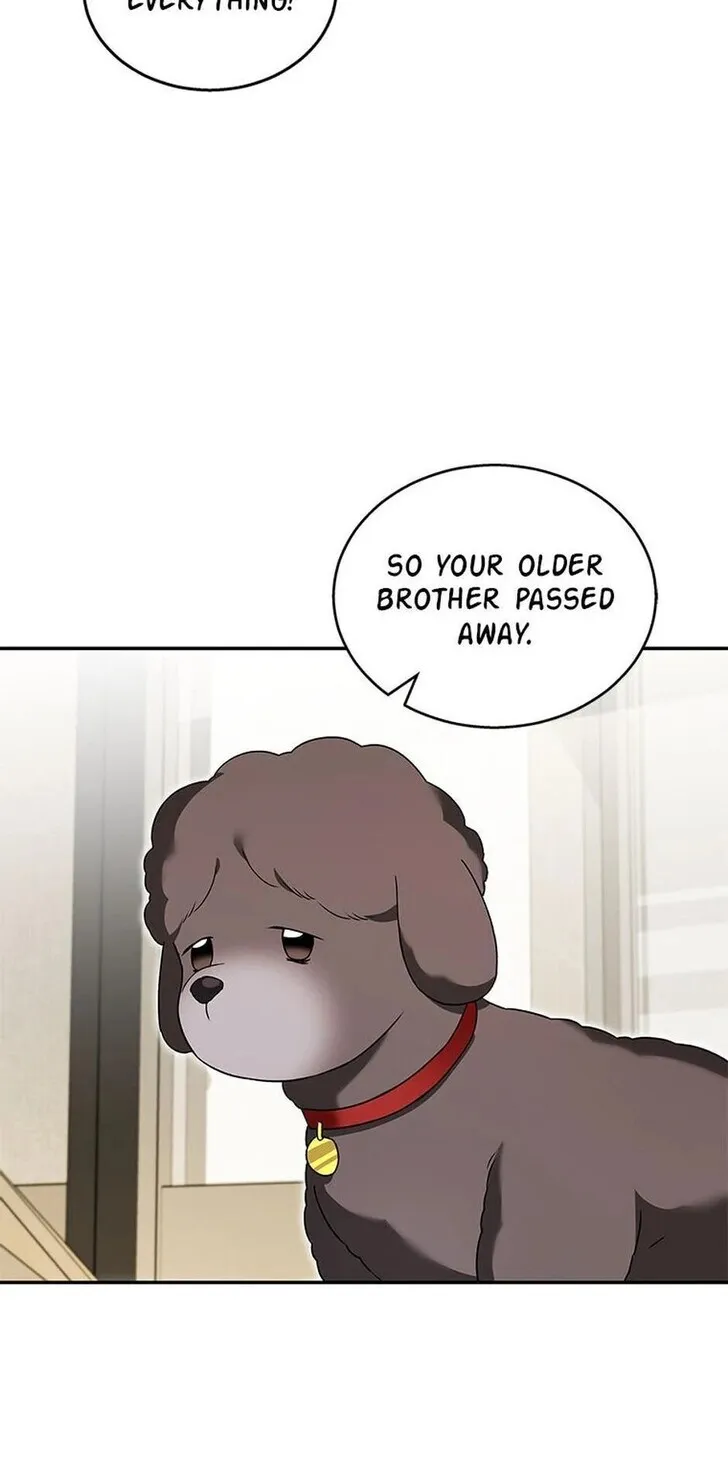 Hello, Mr. Veterinarian! Chapter 35 page 25 - 