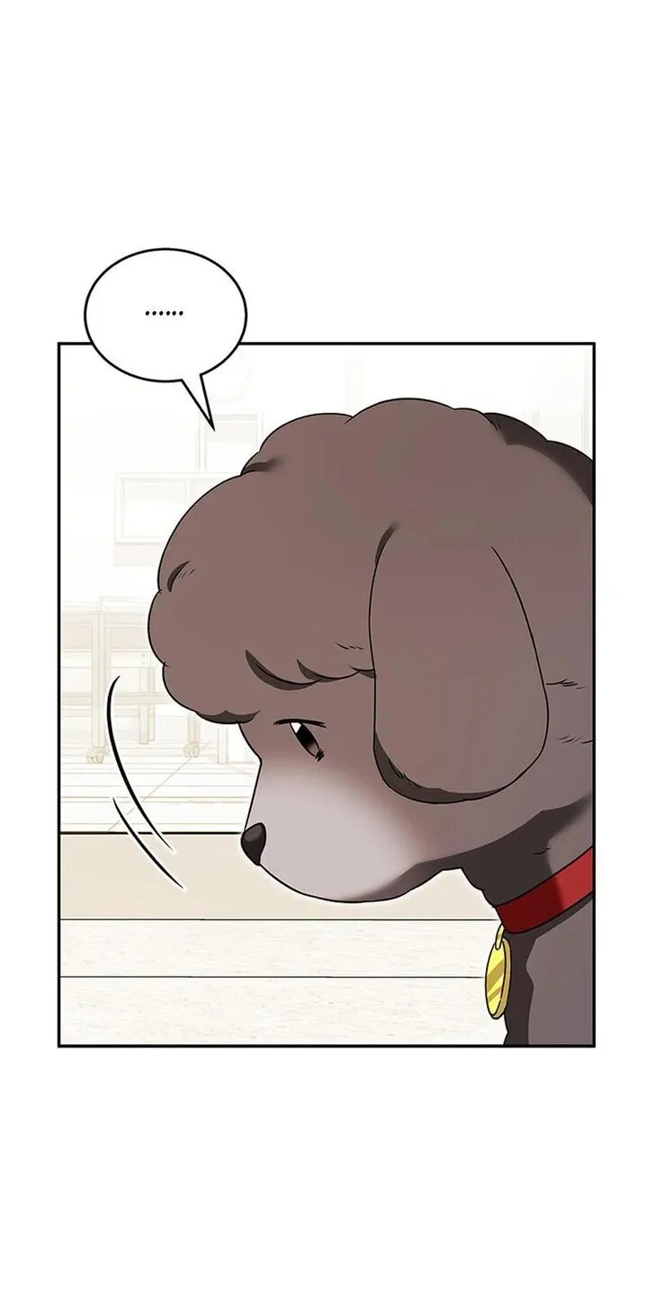 Hello, Mr. Veterinarian! Chapter 35 page 28 - 