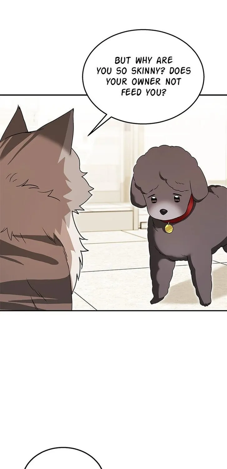 Hello, Mr. Veterinarian! Chapter 35 page 29 - 