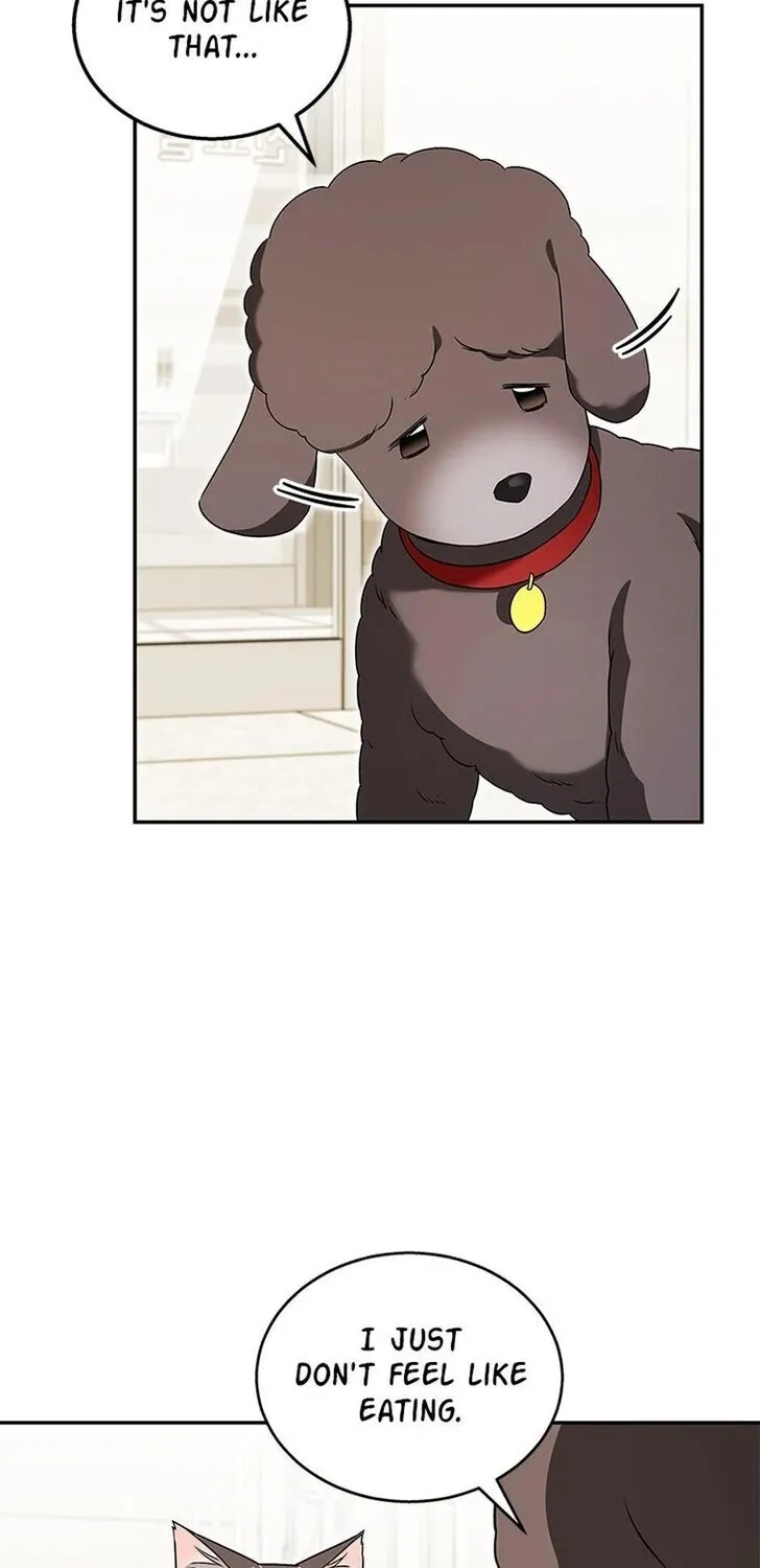 Hello, Mr. Veterinarian! Chapter 35 page 31 - 