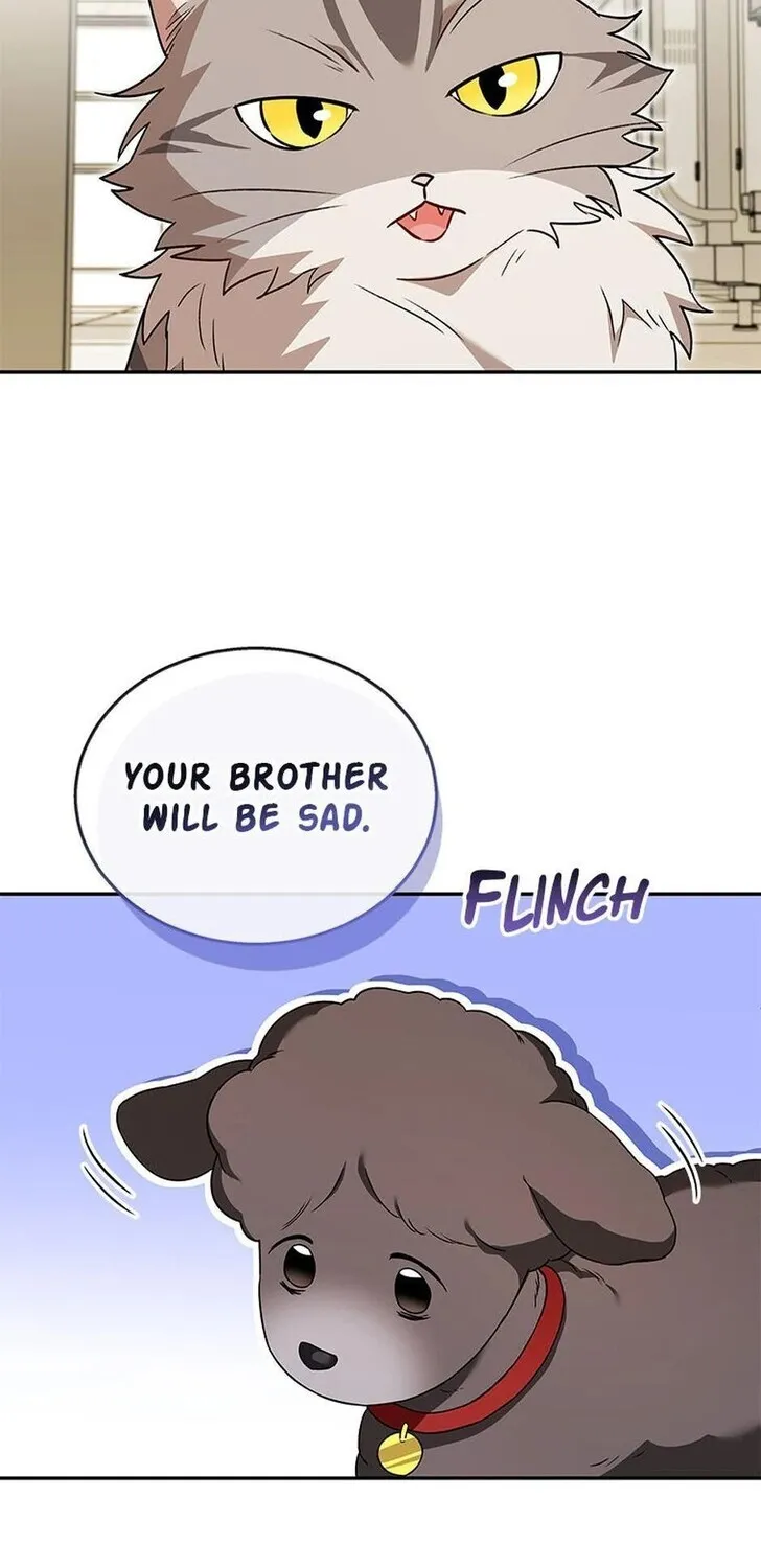 Hello, Mr. Veterinarian! Chapter 35 page 35 - 