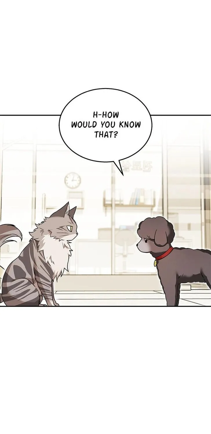 Hello, Mr. Veterinarian! Chapter 35 page 37 - 