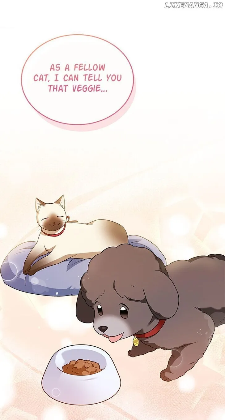 Hello, Mr. Veterinarian! Chapter 35 page 41 - 