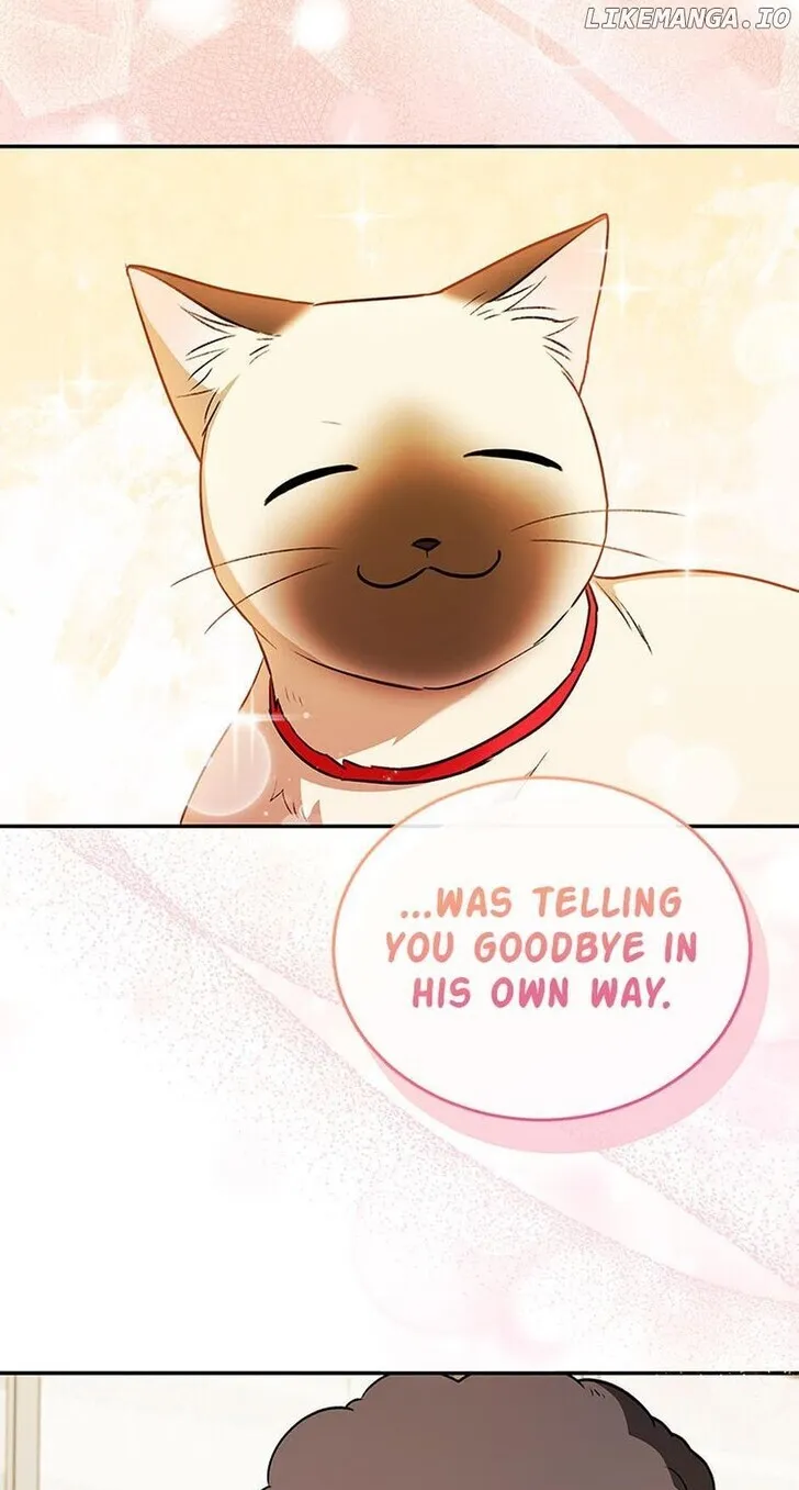Hello, Mr. Veterinarian! Chapter 35 page 42 - 