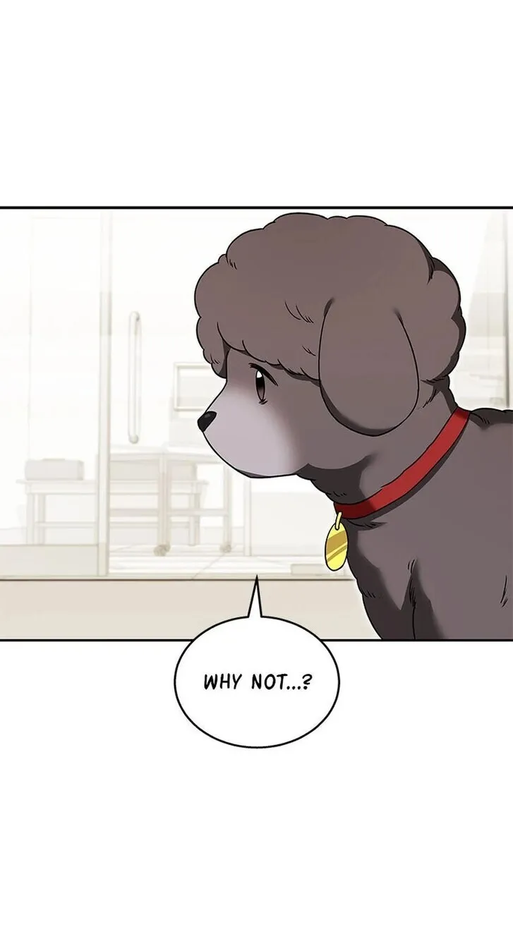 Hello, Mr. Veterinarian! Chapter 35 page 45 - 