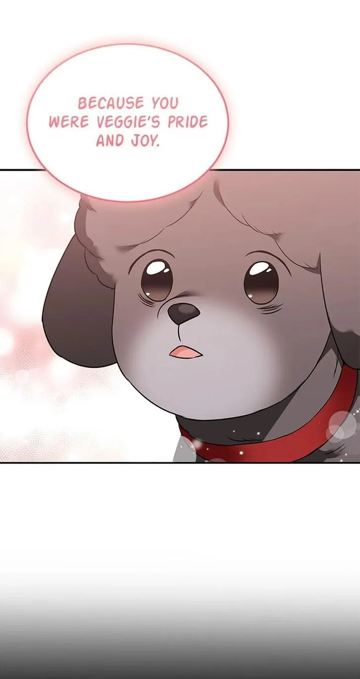 Hello, Mr. Veterinarian! Chapter 35 page 55 - 