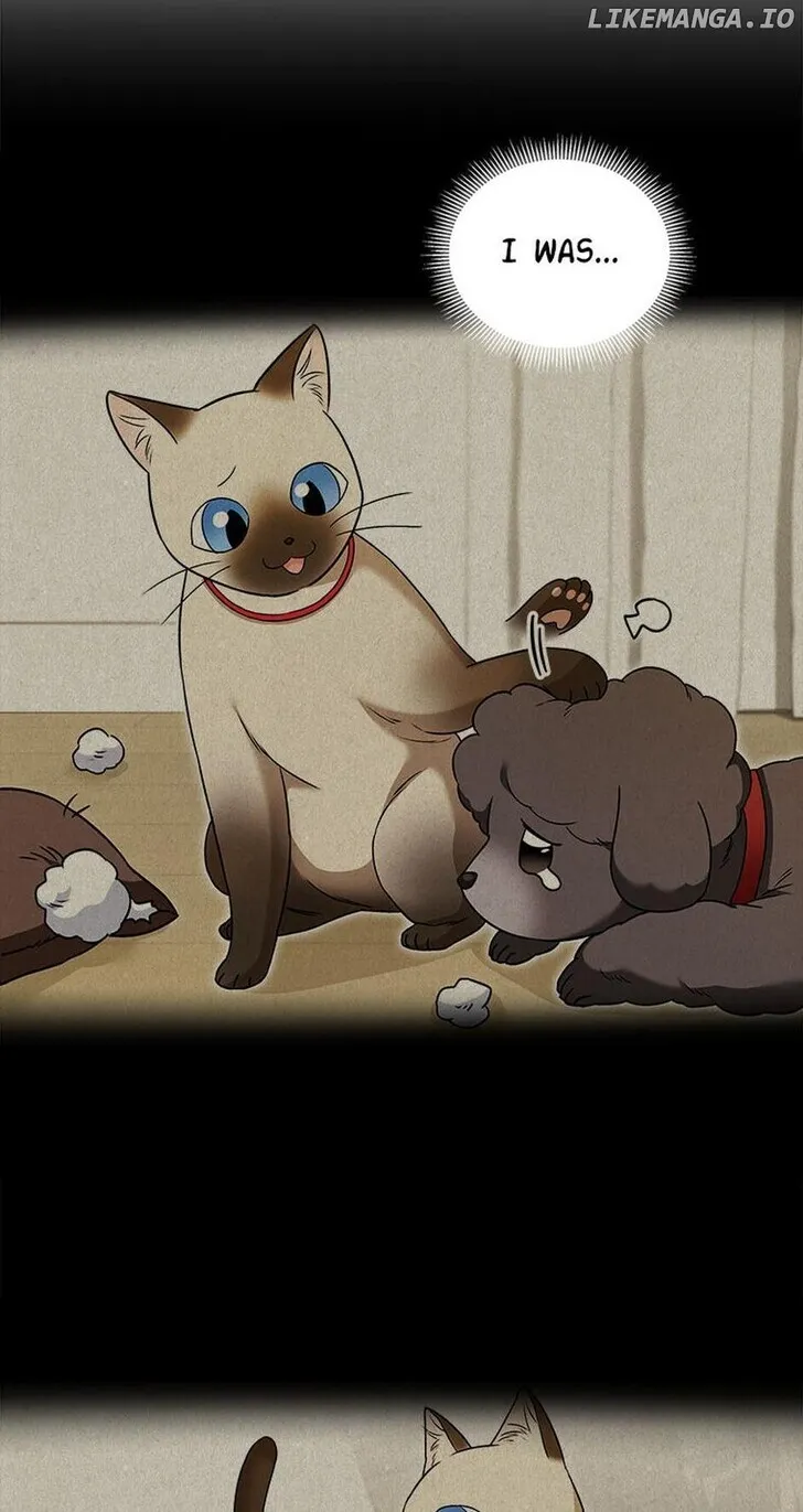 Hello, Mr. Veterinarian! Chapter 35 page 56 - 