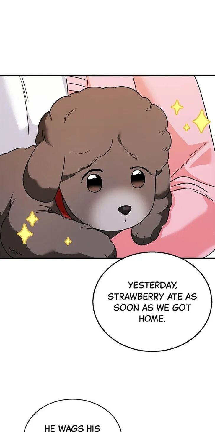 Hello, Mr. Veterinarian! Chapter 35 page 77 - 